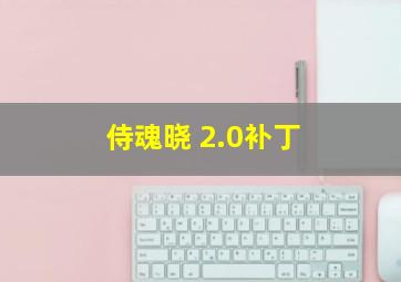 侍魂晓 2.0补丁